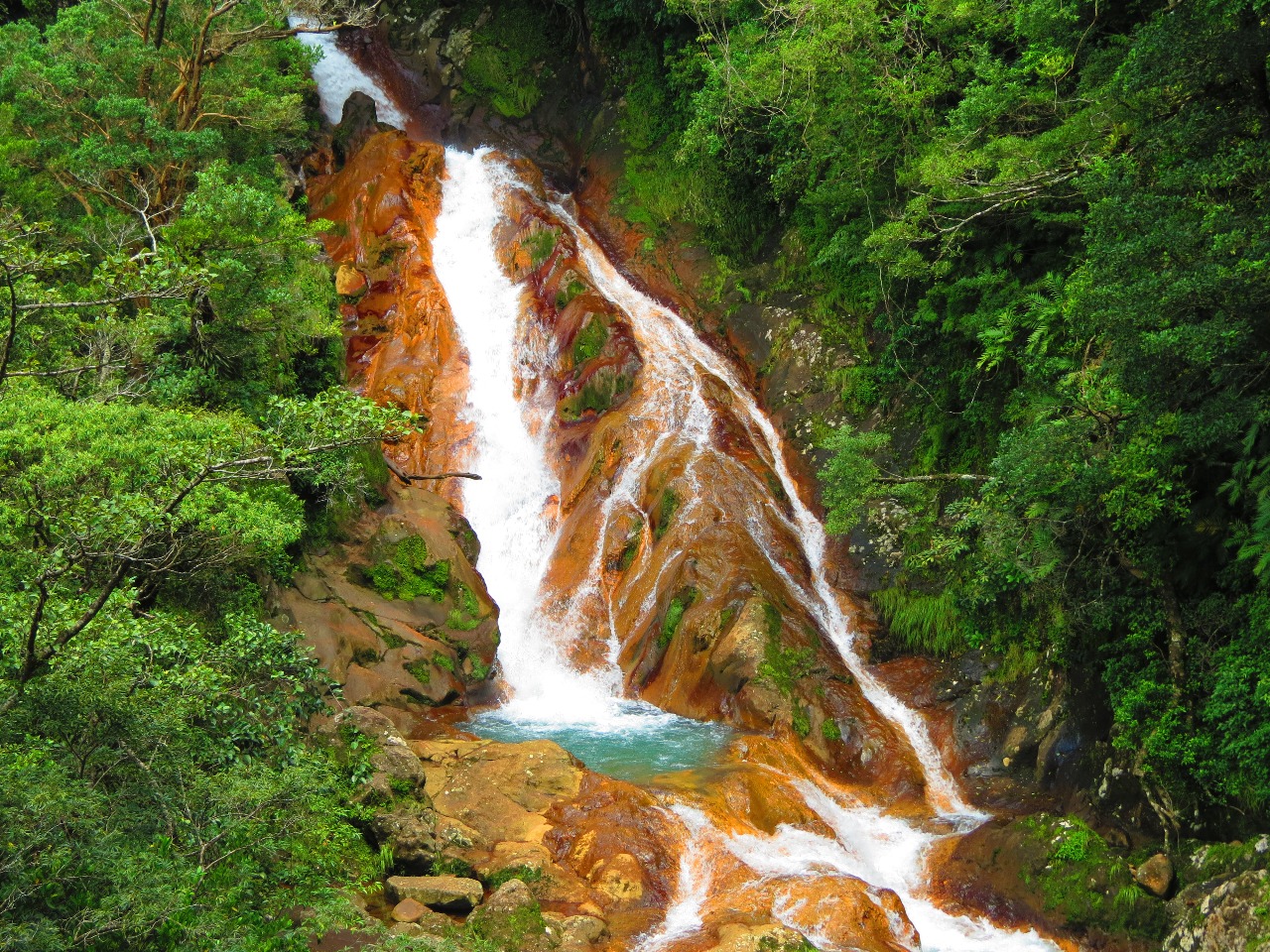 Costa Rica Highlights