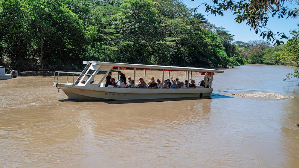 Boat Tour in Palo Verde National Park in Guanacaste
