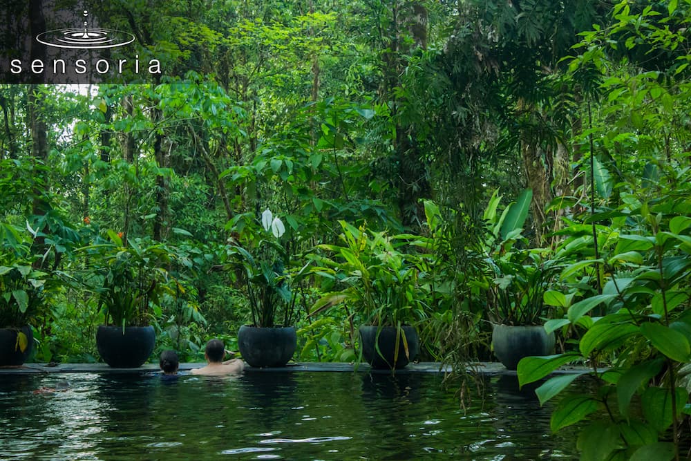 Sensoria Land of Senses & Magical Rainforest