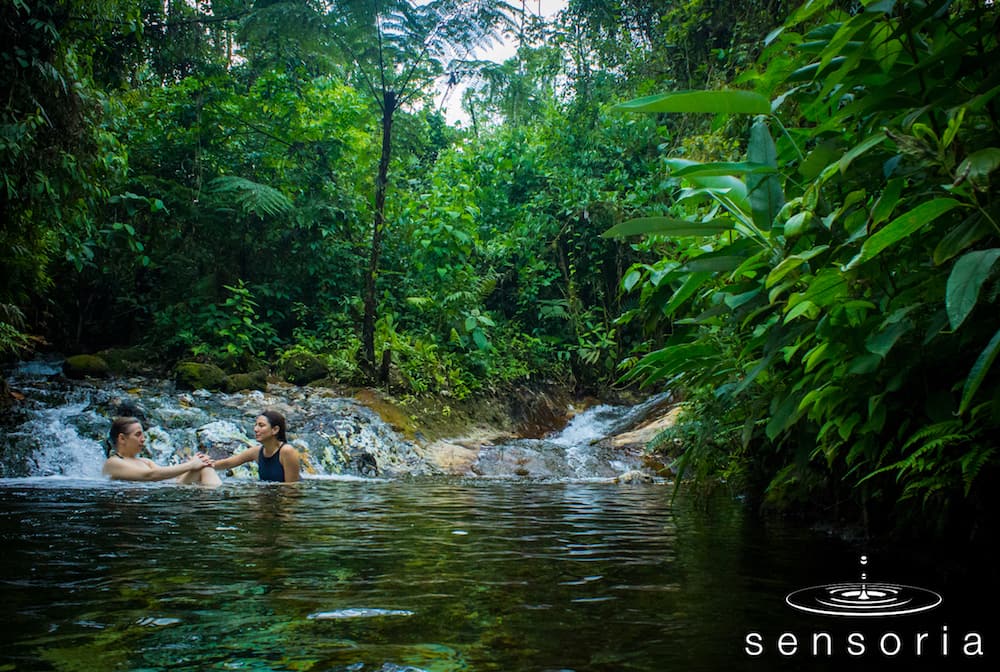 Sensoria Land of Senses & Magical Rainforest