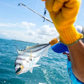 Sport Fishing
