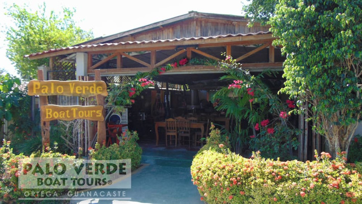 Palo Verde Tour With Mardigi Tours 14